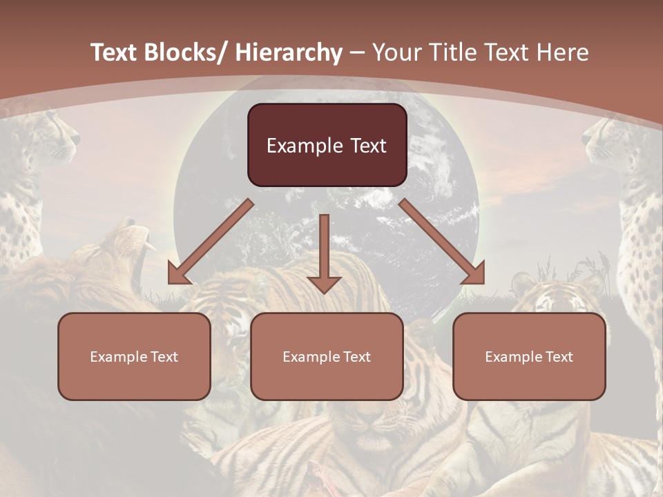 Wildcat Creative Reservation PowerPoint Template