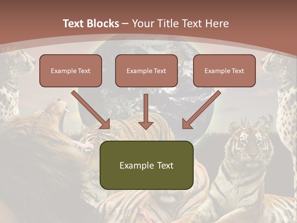 Wildcat Creative Reservation PowerPoint Template