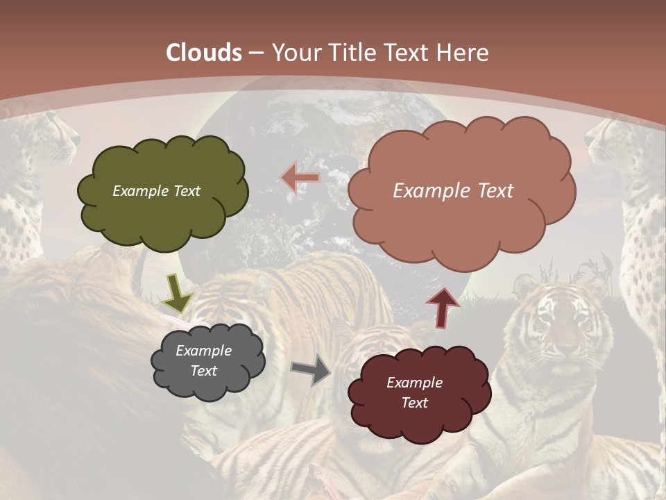 Wildcat Creative Reservation PowerPoint Template