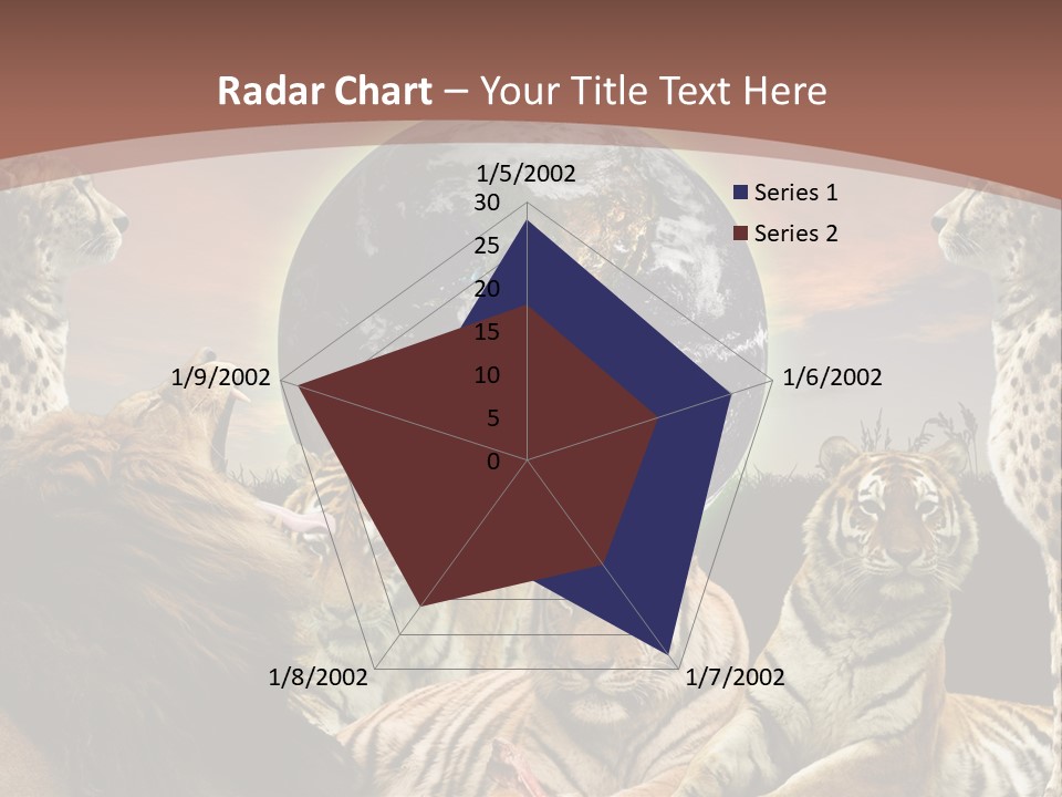 Wildcat Creative Reservation PowerPoint Template