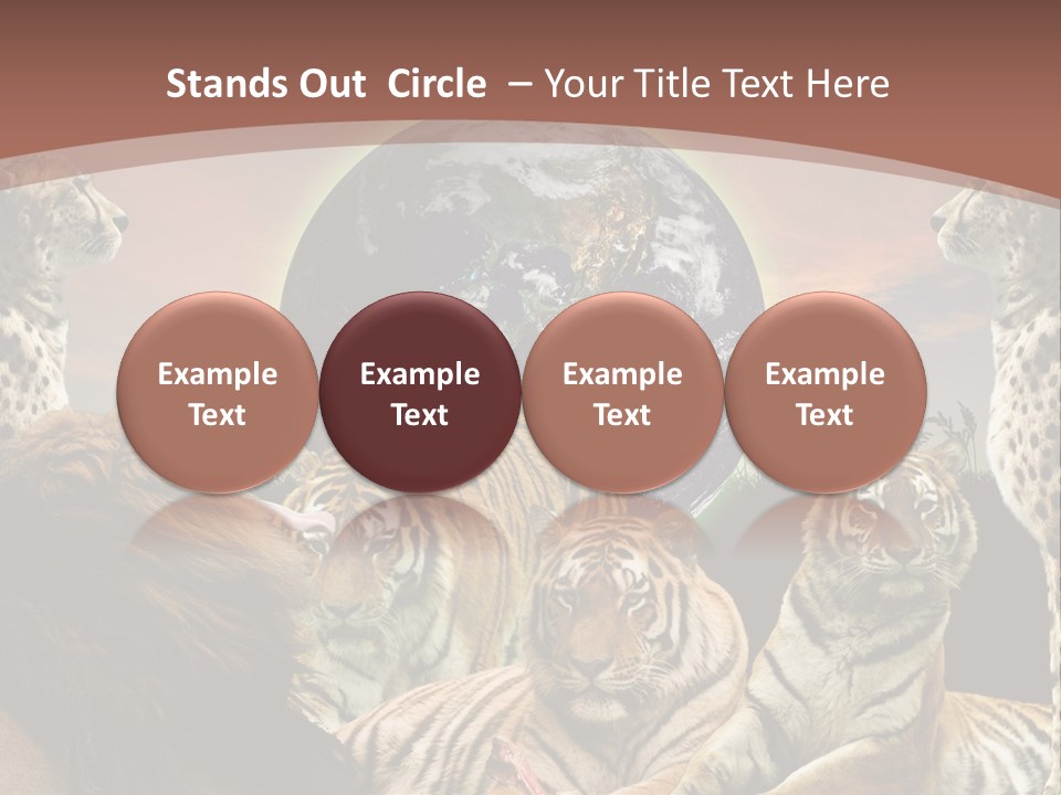 Wildcat Creative Reservation PowerPoint Template