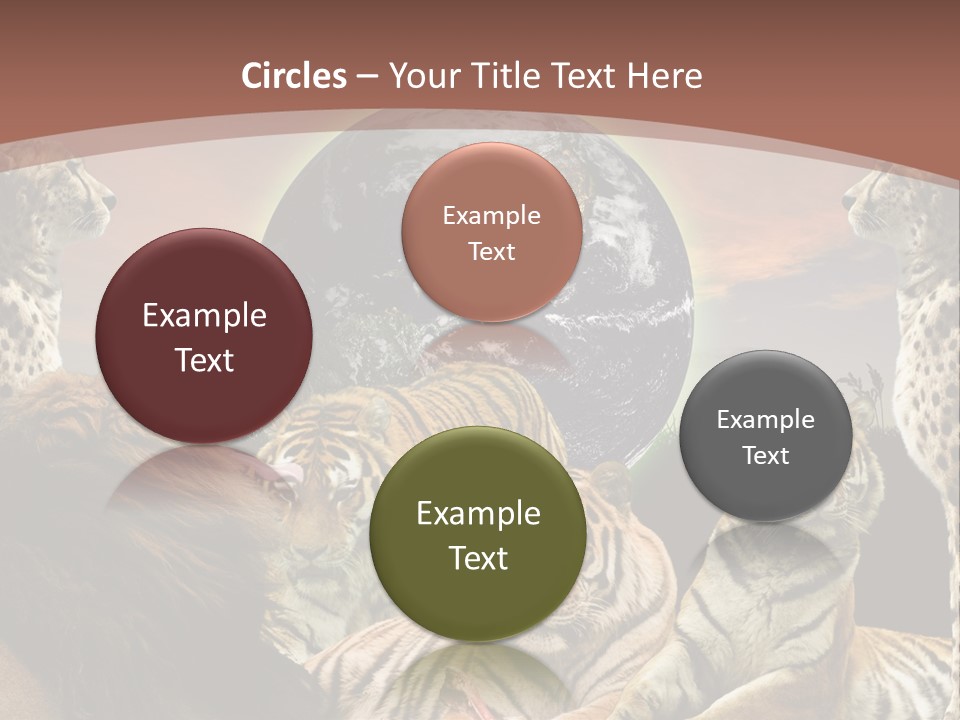 Wildcat Creative Reservation PowerPoint Template