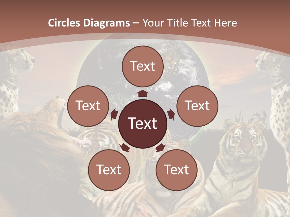 Wildcat Creative Reservation PowerPoint Template