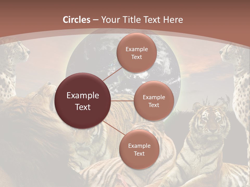 Wildcat Creative Reservation PowerPoint Template