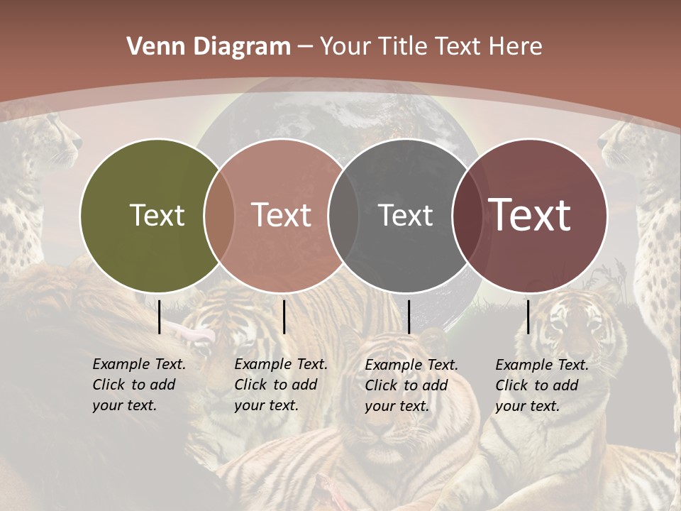 Wildcat Creative Reservation PowerPoint Template
