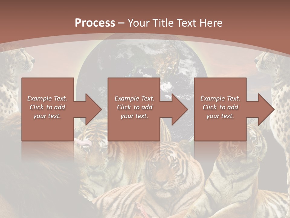 Wildcat Creative Reservation PowerPoint Template