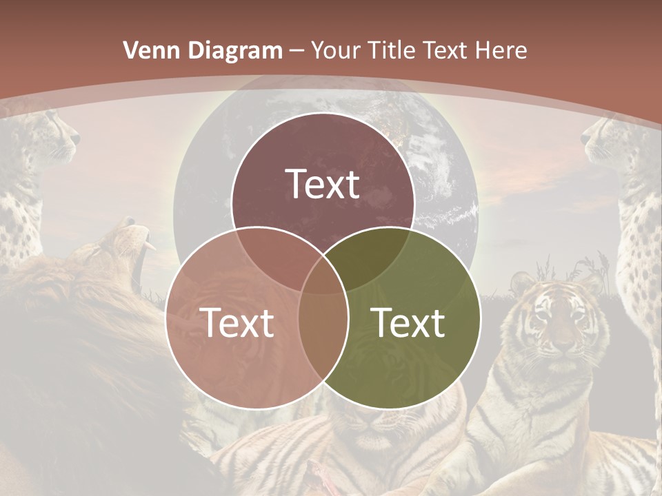 Wildcat Creative Reservation PowerPoint Template