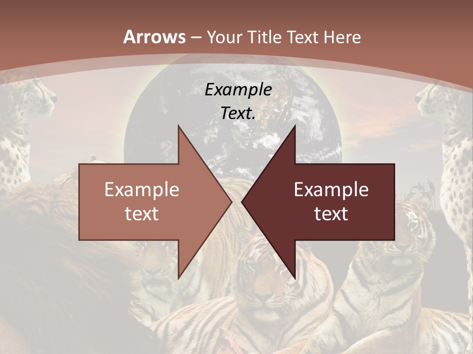 Wildcat Creative Reservation PowerPoint Template