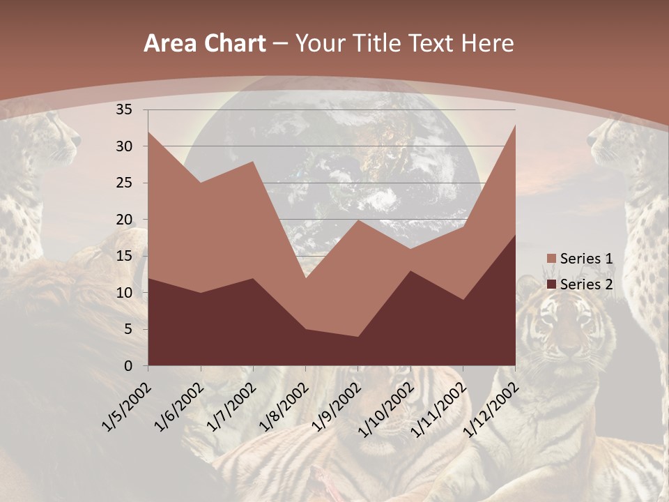 Wildcat Creative Reservation PowerPoint Template