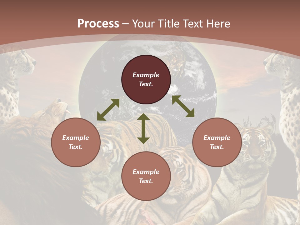 Wildcat Creative Reservation PowerPoint Template