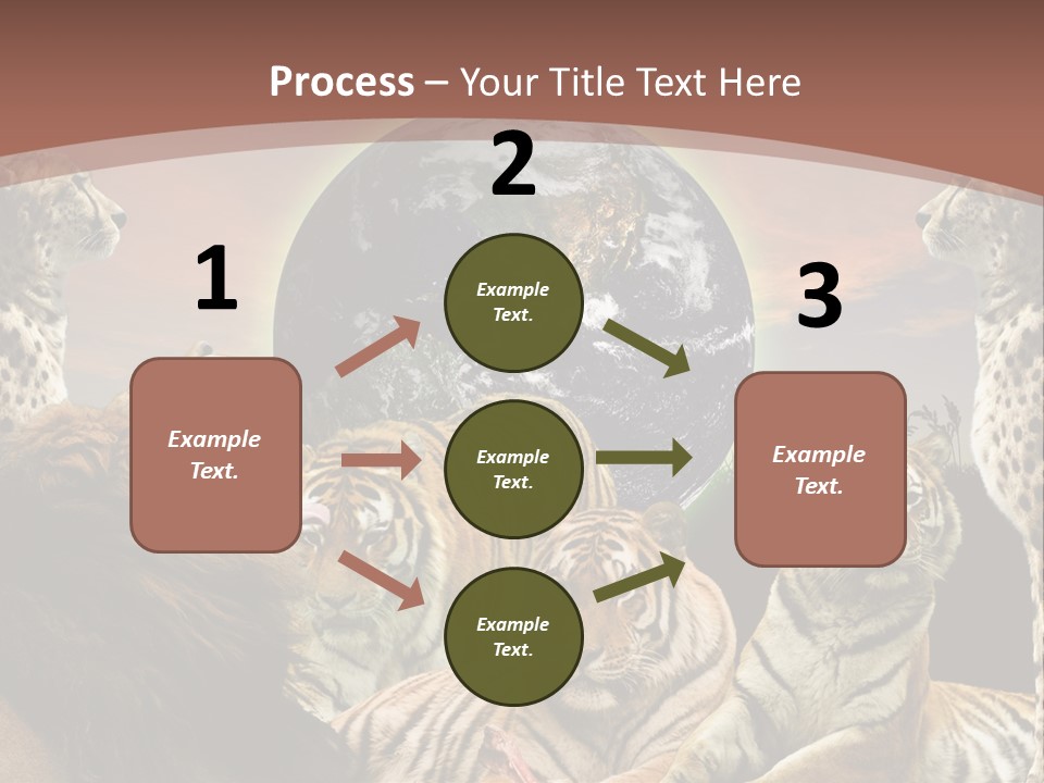 Wildcat Creative Reservation PowerPoint Template
