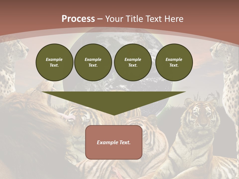 Wildcat Creative Reservation PowerPoint Template