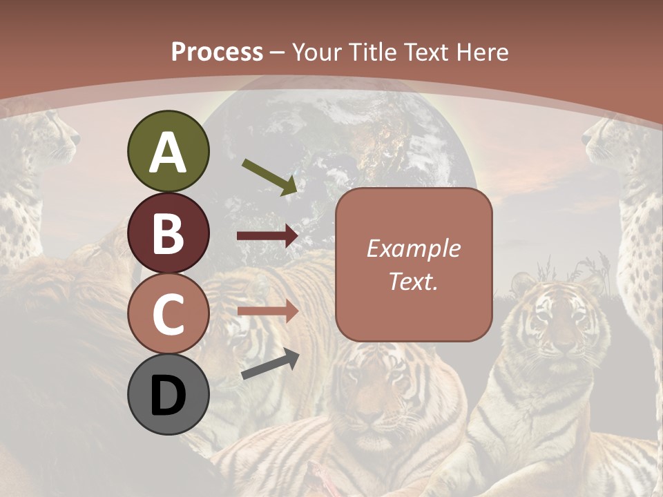 Wildcat Creative Reservation PowerPoint Template