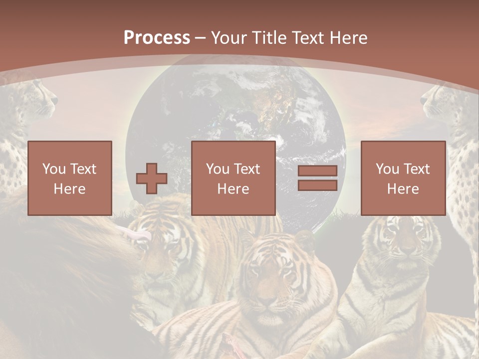 Wildcat Creative Reservation PowerPoint Template