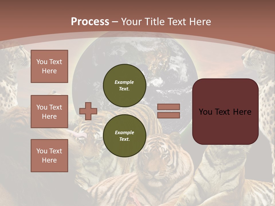 Wildcat Creative Reservation PowerPoint Template