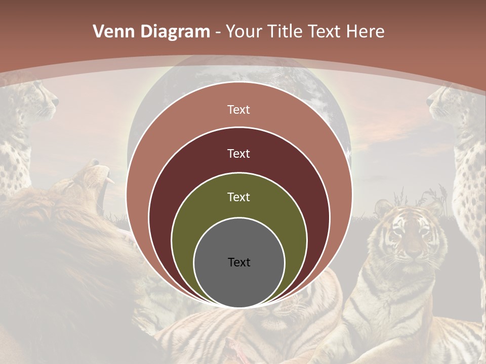 Wildcat Creative Reservation PowerPoint Template