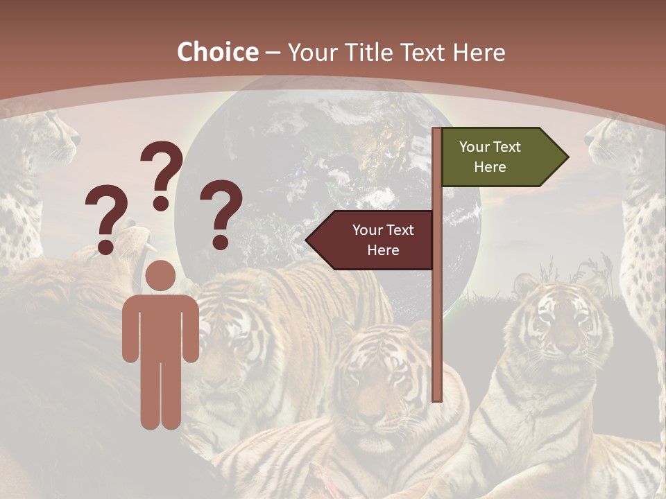 Wildcat Creative Reservation PowerPoint Template