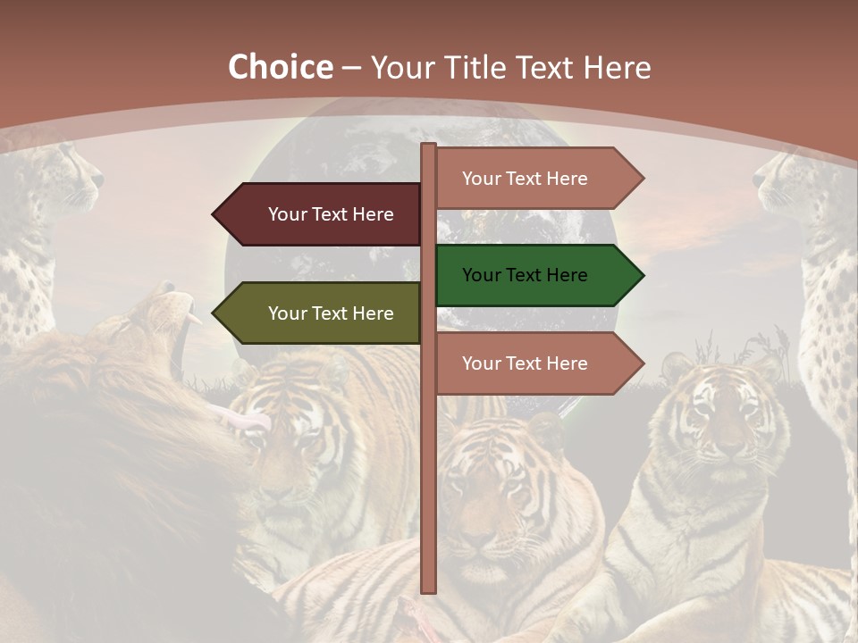 Wildcat Creative Reservation PowerPoint Template
