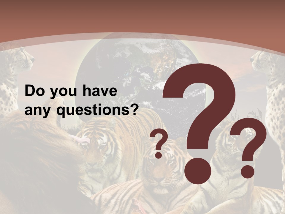 Wildcat Creative Reservation PowerPoint Template