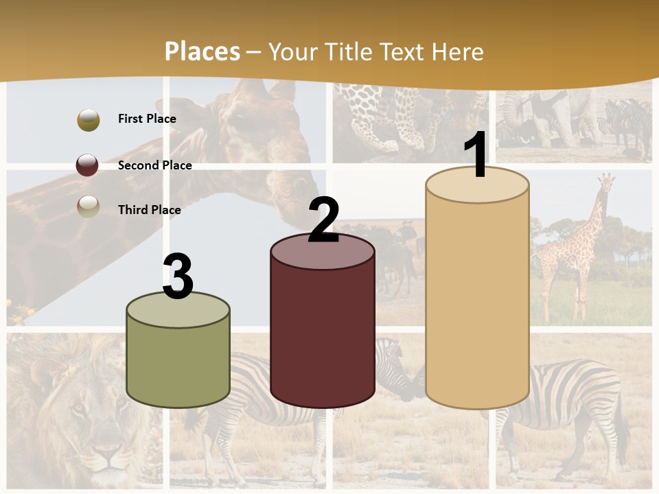 Lion Sunset Tiger PowerPoint Template