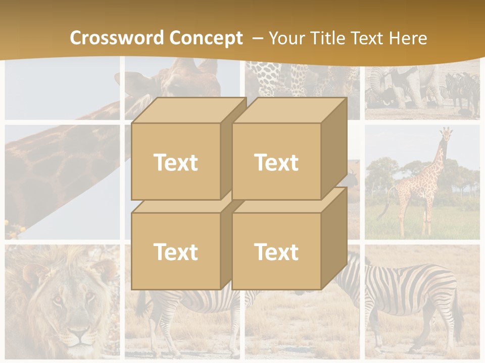 Lion Sunset Tiger PowerPoint Template