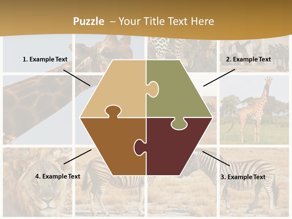 Lion Sunset Tiger PowerPoint Template