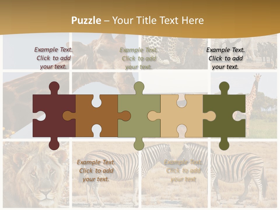 Lion Sunset Tiger PowerPoint Template