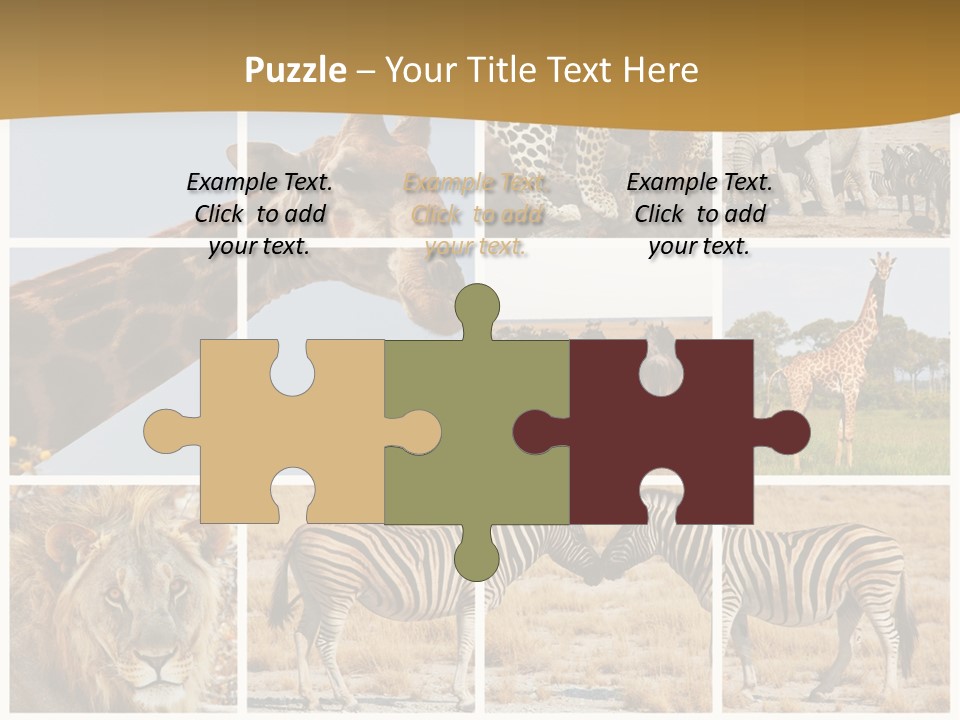 Lion Sunset Tiger PowerPoint Template