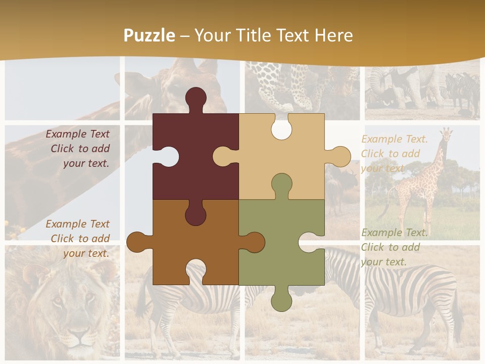 Lion Sunset Tiger PowerPoint Template