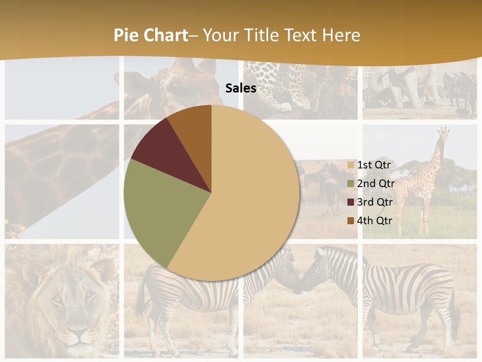 Lion Sunset Tiger PowerPoint Template