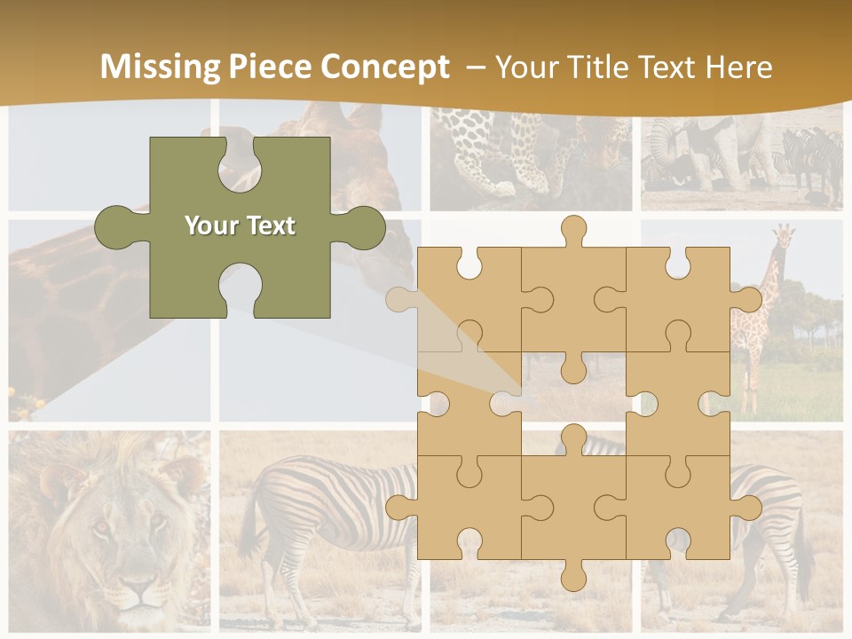 Lion Sunset Tiger PowerPoint Template