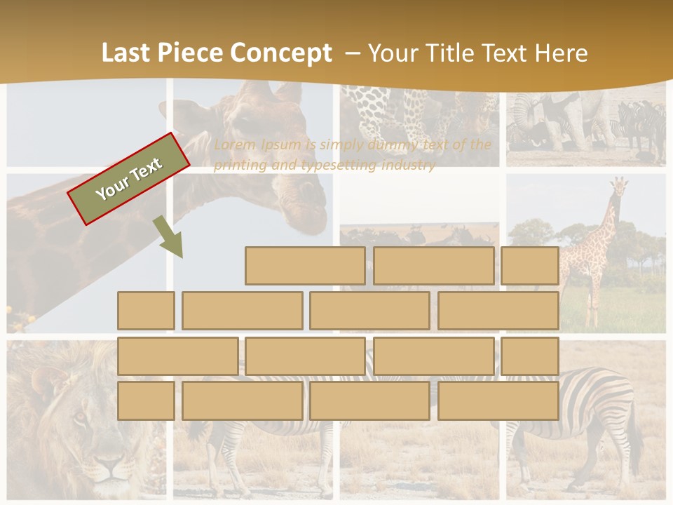 Lion Sunset Tiger PowerPoint Template