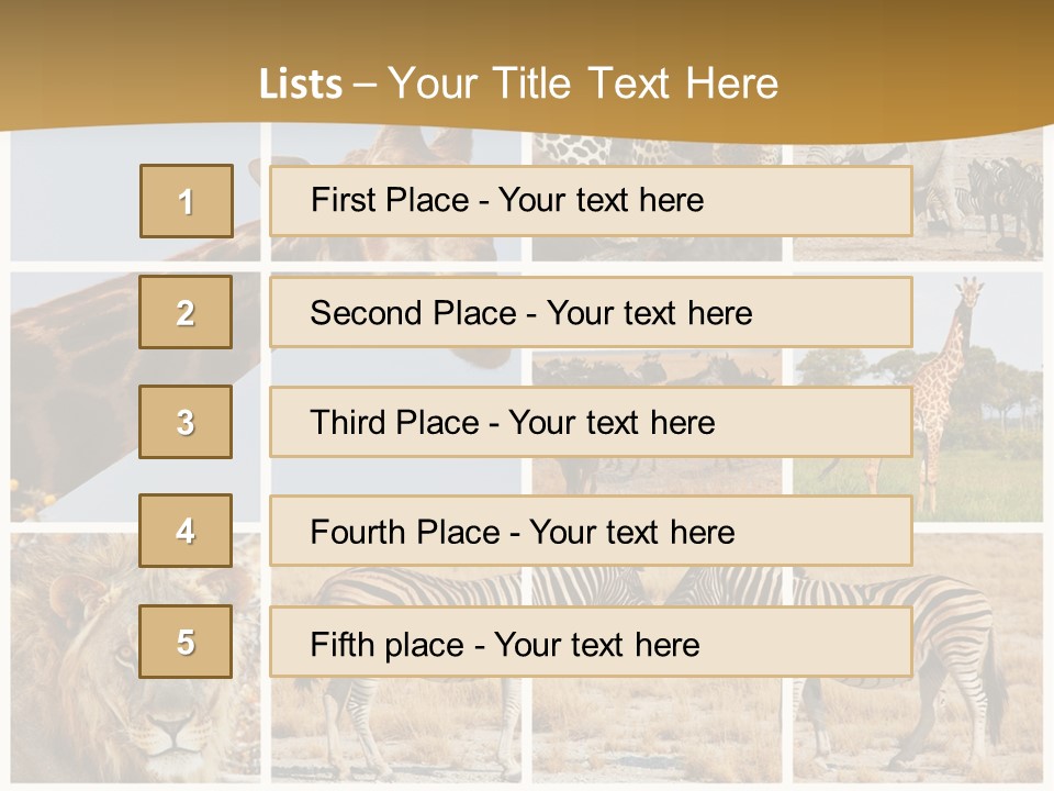 Lion Sunset Tiger PowerPoint Template