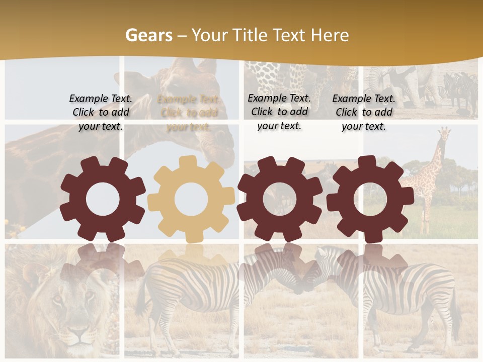 Lion Sunset Tiger PowerPoint Template