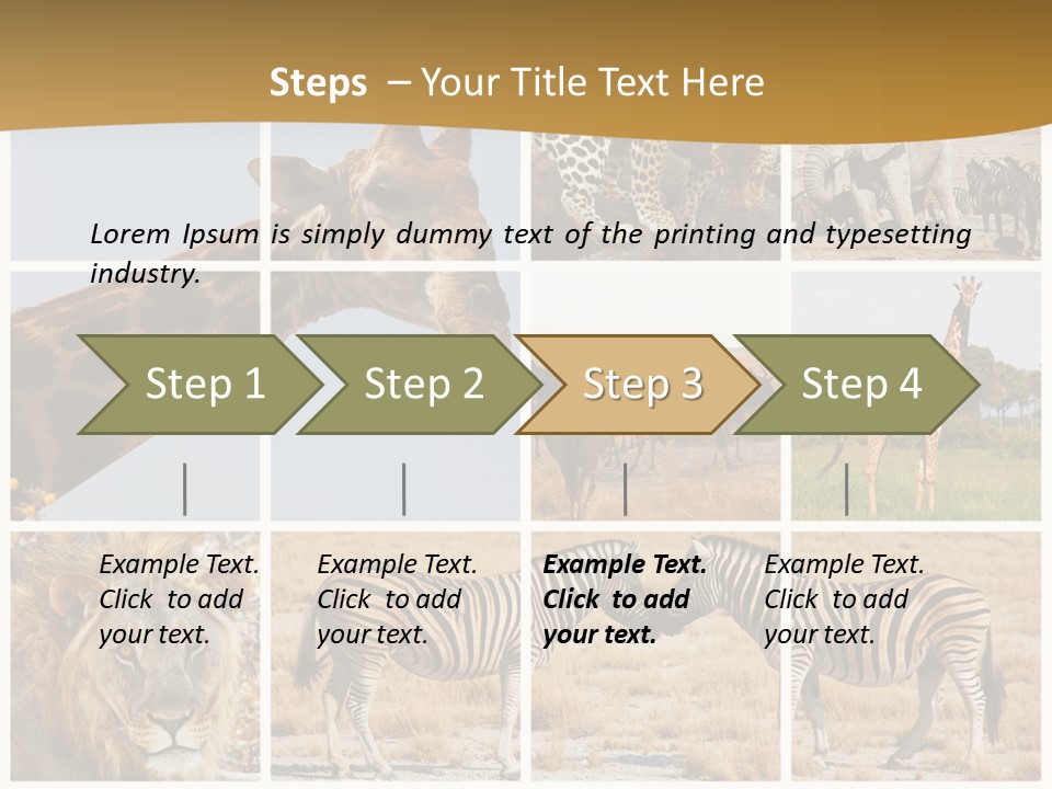 Lion Sunset Tiger PowerPoint Template