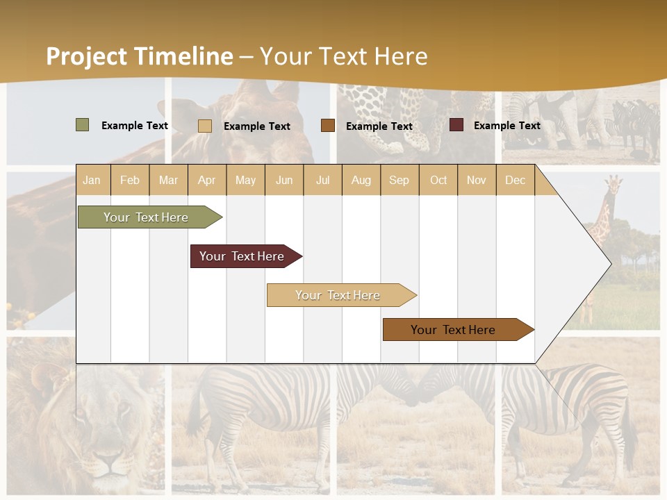 Lion Sunset Tiger PowerPoint Template