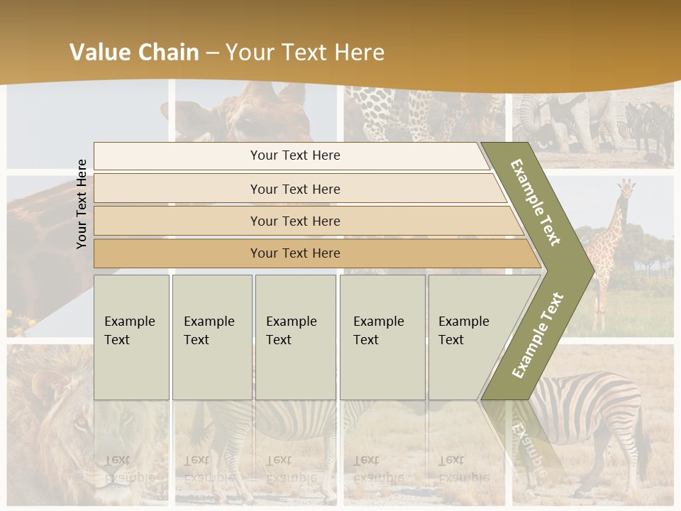 Lion Sunset Tiger PowerPoint Template