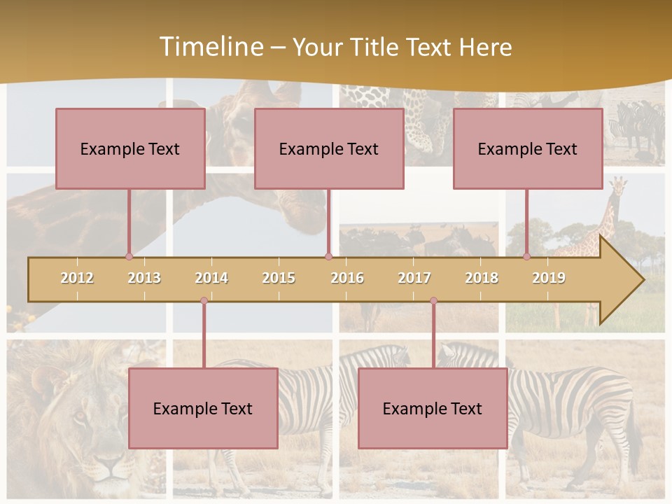 Lion Sunset Tiger PowerPoint Template