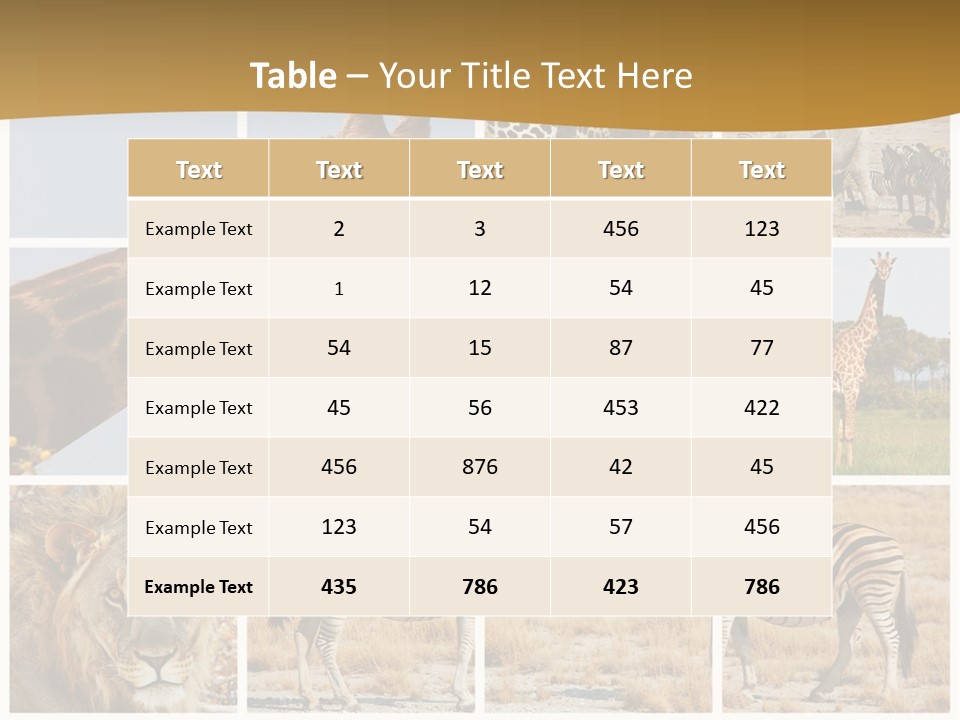 Lion Sunset Tiger PowerPoint Template