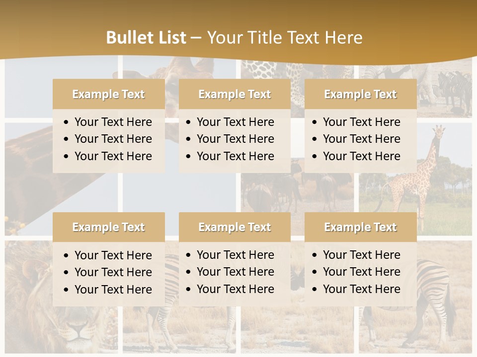 Lion Sunset Tiger PowerPoint Template