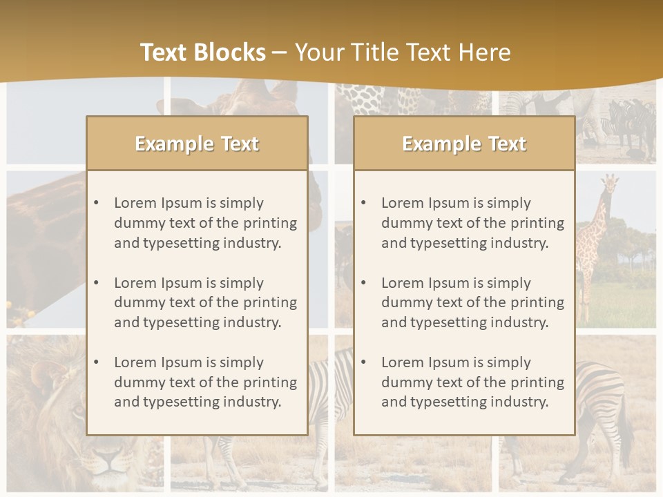 Lion Sunset Tiger PowerPoint Template