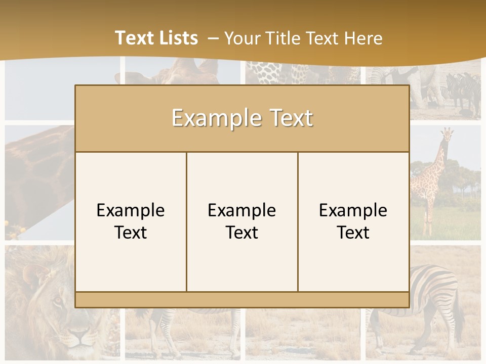 Lion Sunset Tiger PowerPoint Template