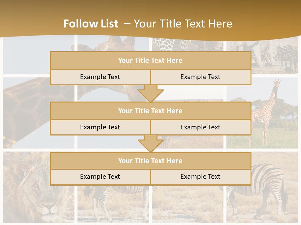 Lion Sunset Tiger PowerPoint Template
