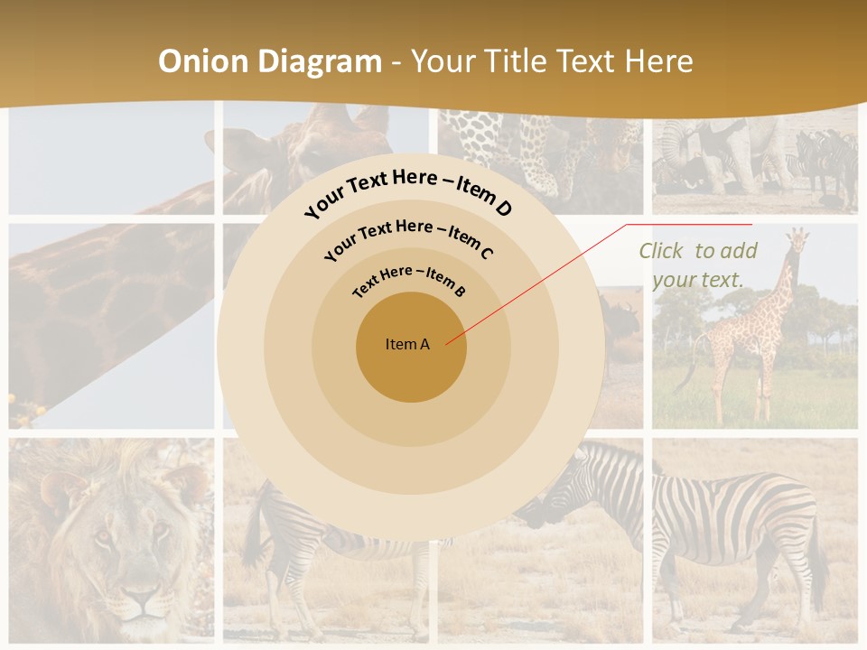 Lion Sunset Tiger PowerPoint Template