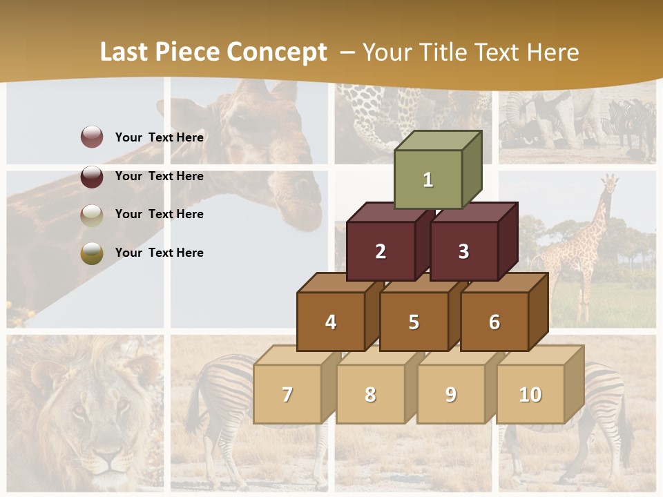 Lion Sunset Tiger PowerPoint Template