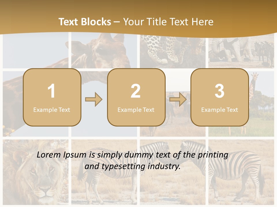 Lion Sunset Tiger PowerPoint Template