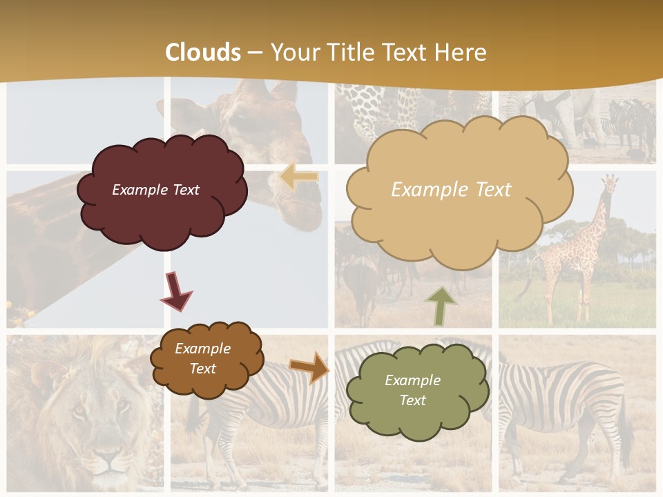 Lion Sunset Tiger PowerPoint Template