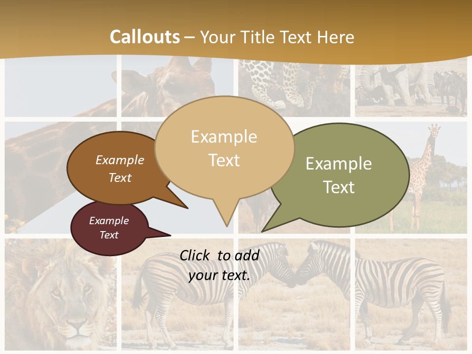 Lion Sunset Tiger PowerPoint Template