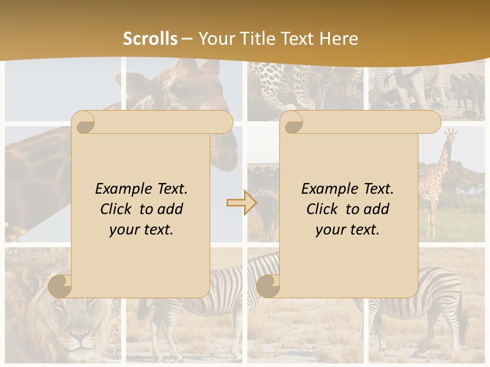 Lion Sunset Tiger PowerPoint Template