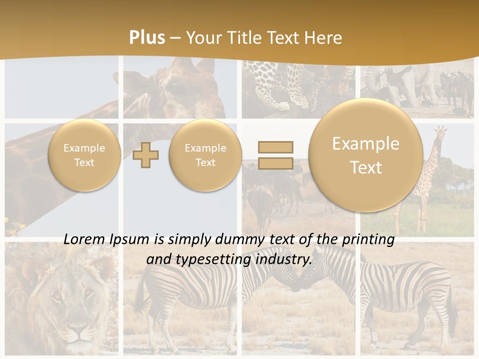 Lion Sunset Tiger PowerPoint Template